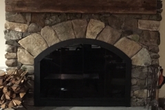 Custom Arch Fireplace door